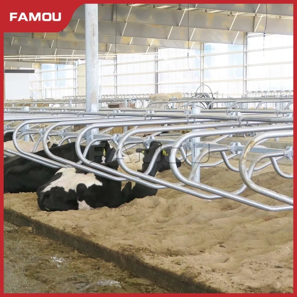 Premium Cattle Free Stall with Long-Lasting Fence Solution