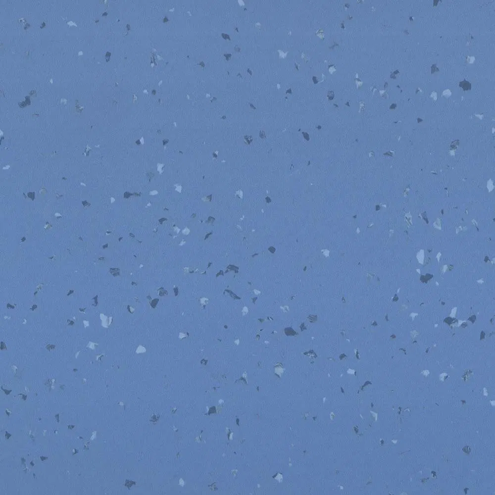 Durable Pet-Friendly Embossed PVC Flooring Roll for Homes