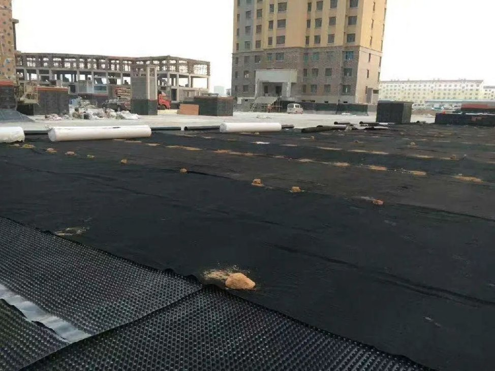 Dimple Mat Drainage Board Drainage Membrane for Sloping Roof Greening