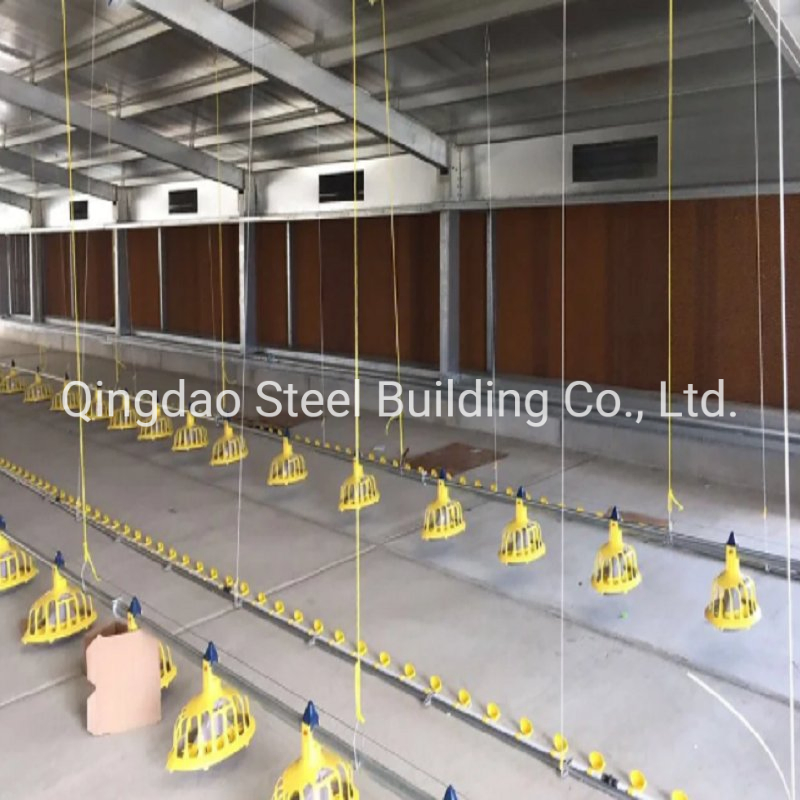 Chicken Farms Poultry House Prefab Steel Frame Chicken Shed for 10000 Broilers