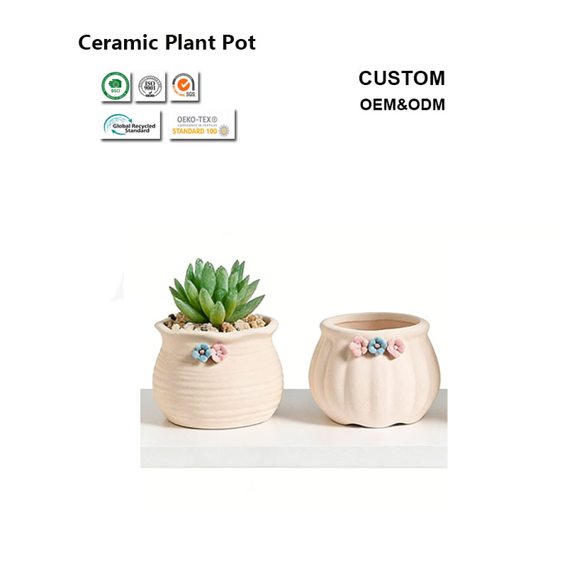 Adorable Compact Premium Ceramic Flower Pot for Succulent & Cactus