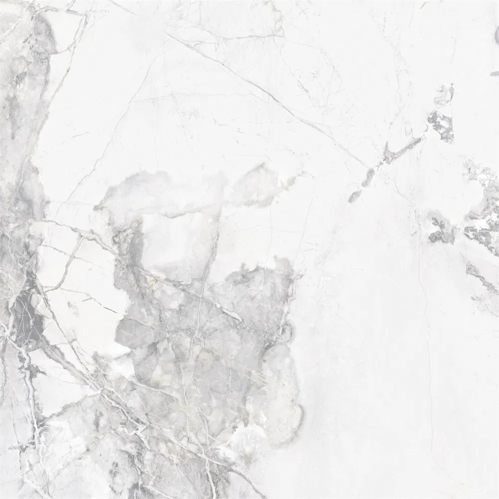 Rustic 600X600mm Porcelain Wall and Floor Tile From Foshan