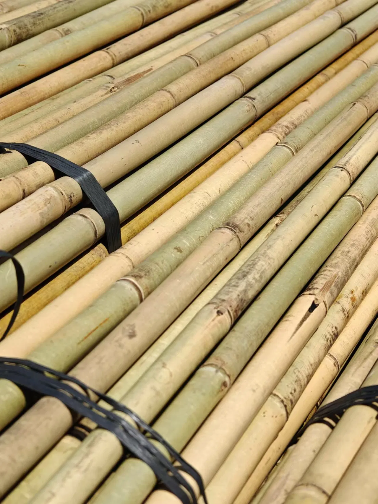Stake Stick Cane Fence Poles Panel Flowerstick U Trellis Craft Products Bamboo