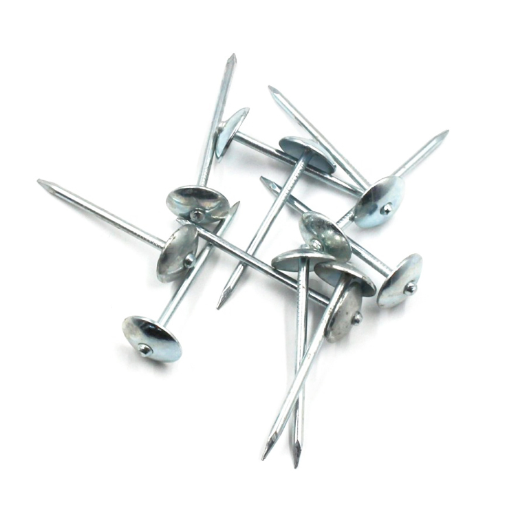 Middle America 50lbs Clavo Polished/Galvanized Roofing Nails Smooth/Twisted Shank Iron Nail