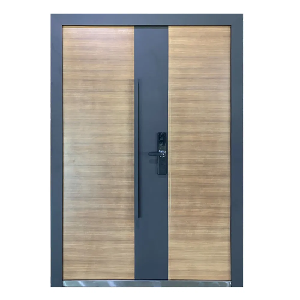 Luxury High Quality Steel Front Door with Long Handle