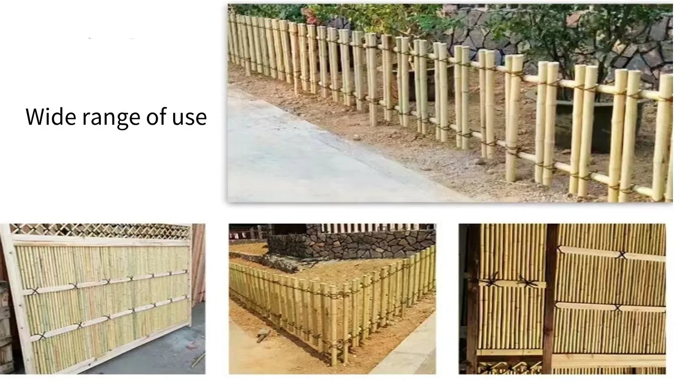 Wholesale Natural The Tree Sticks Bulk Large Bamboo Stake Bamboo Poles