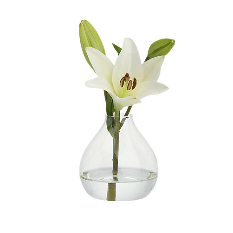 Transparent Large Glass Vase/ Flower in Different Container/ Home Decorations