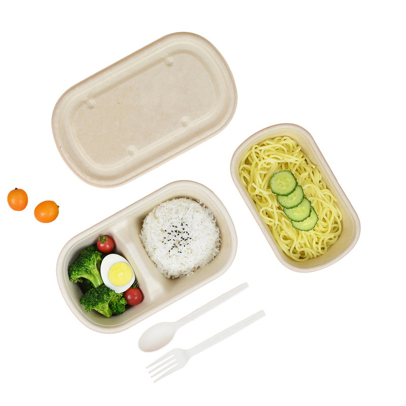 2 Comp. Sugarcane Bagasse Takeaway Lunch Box Disposable Biodegradable Food Container
