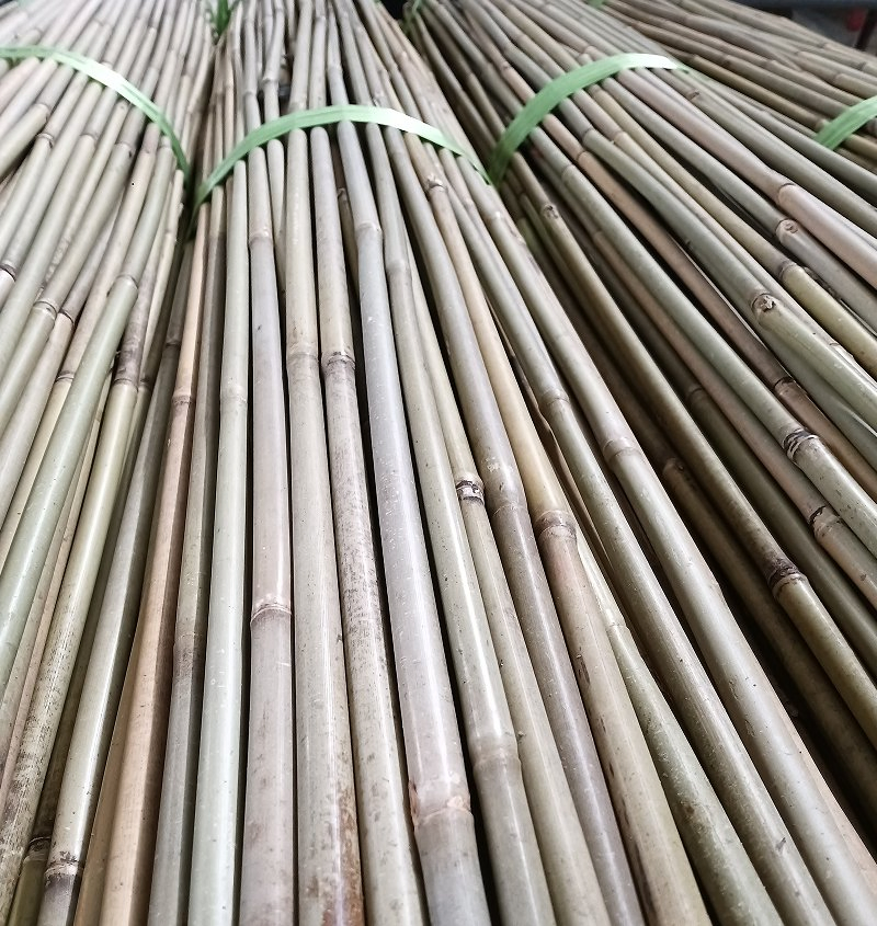 Cheap Garden Bamboo Stakes Agricultural Support Bamboo Poles