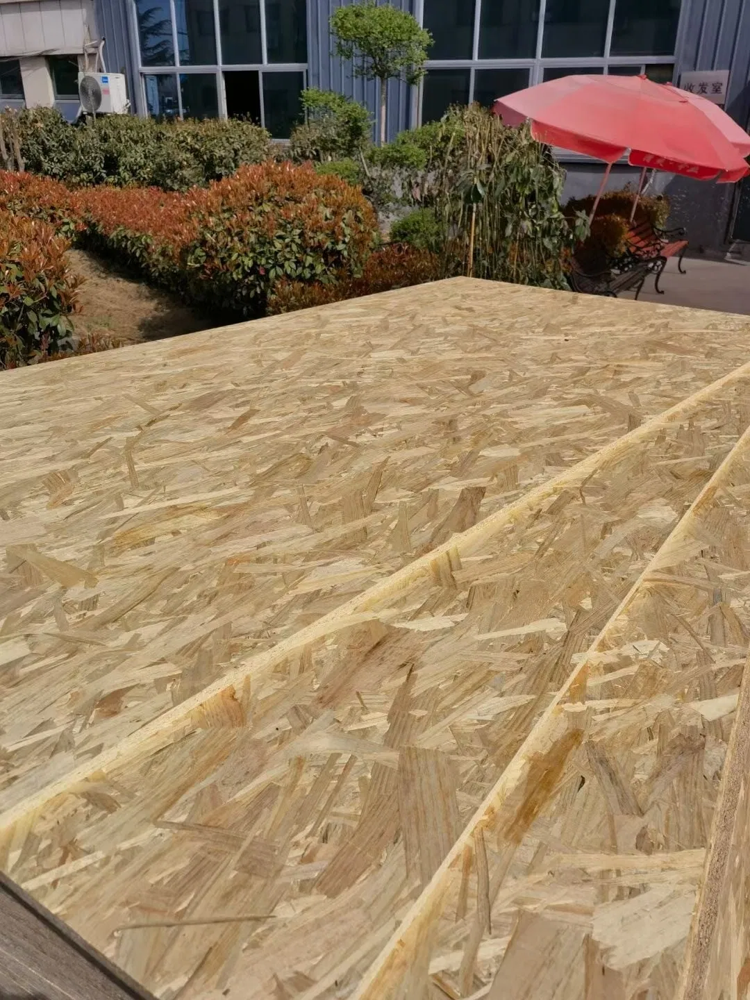 Phenolic Plywood Pine OSB1 OSB2 OSB3 OSB Board for Construction and Furniture
