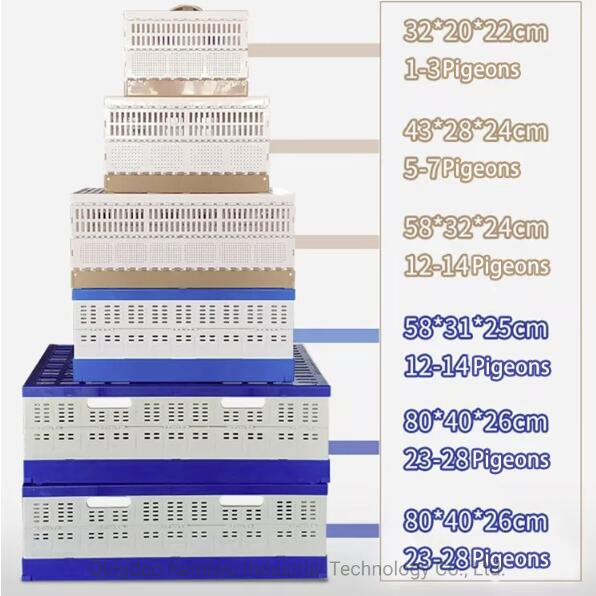 Poultry Equipment Feeding System Chicken Accessories