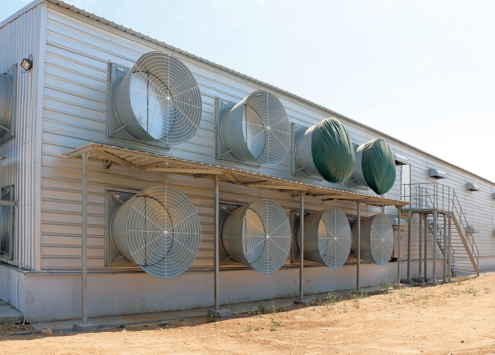 Light Steel Structure Chicken Coop with Full Equipments for Sale