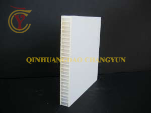 Superior Appearance FRP/GRP PU Composite Panel