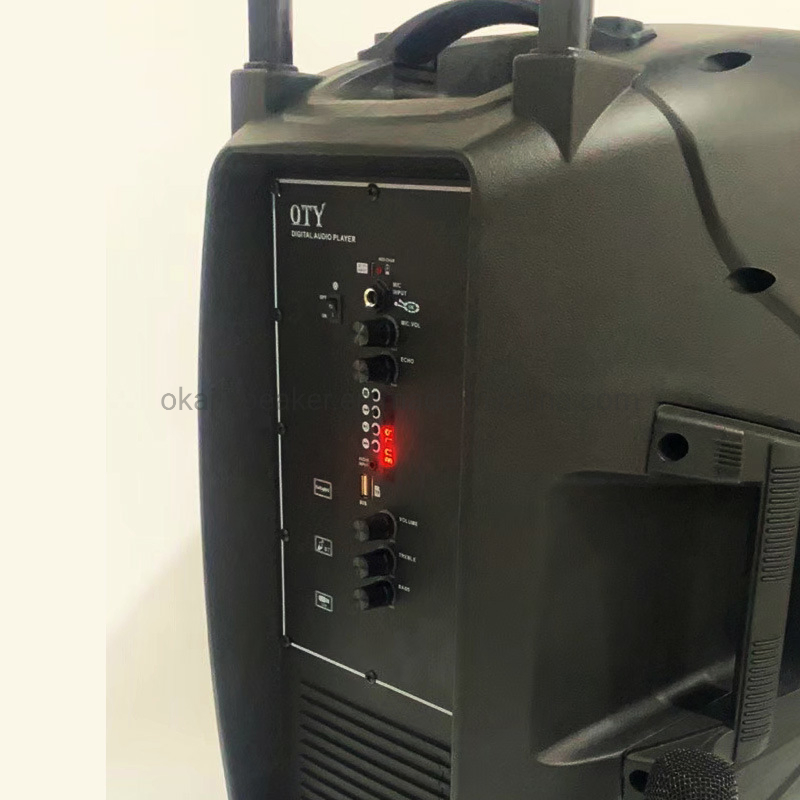 Factory Direct Good Quality 15inch Amplifier Audio Speaker with Trolley and Wheels