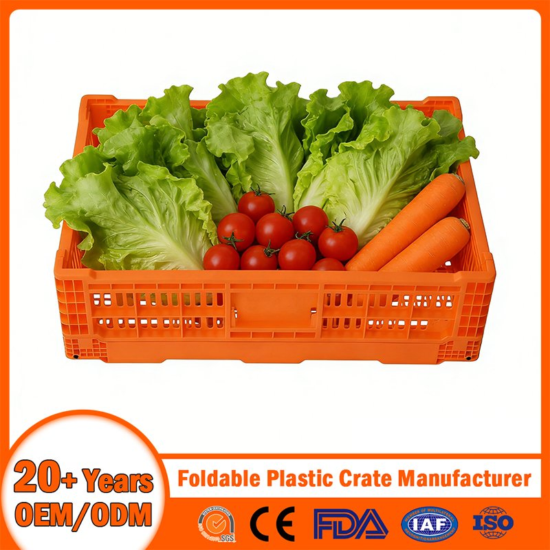 China Foldable Plastic Crate Manufacturer Nestable Mesh Tote Crate for Moving/Turnover/EU/Lobster/Bread/Bale/Egg/Mike Logistaic/Supermarket/Vegetable/Fruit