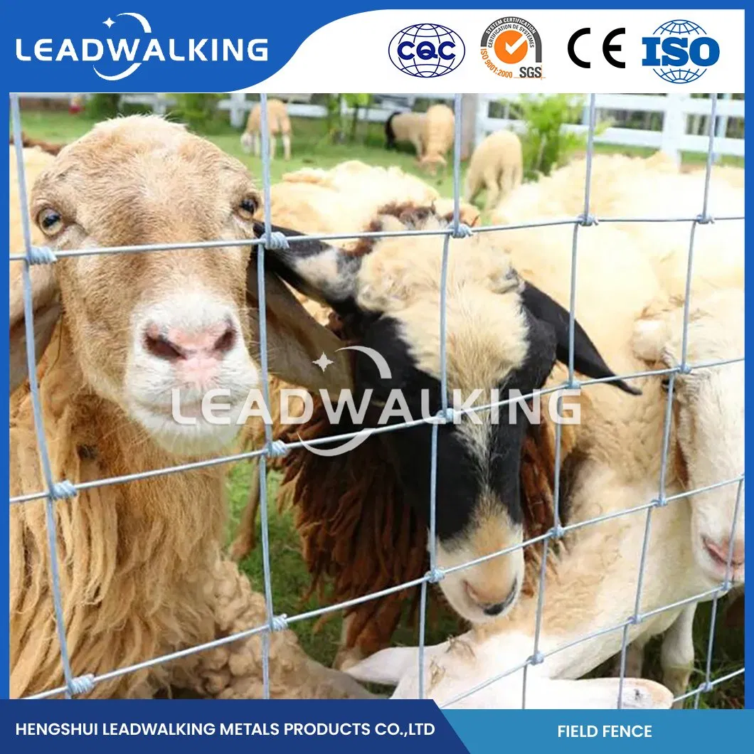 Factory Directly Selling Hinge Joint Fixed Knot Hot Dipped Galvanized Field Fence for Cattle and Sheep and Horse and Grassland Fencing