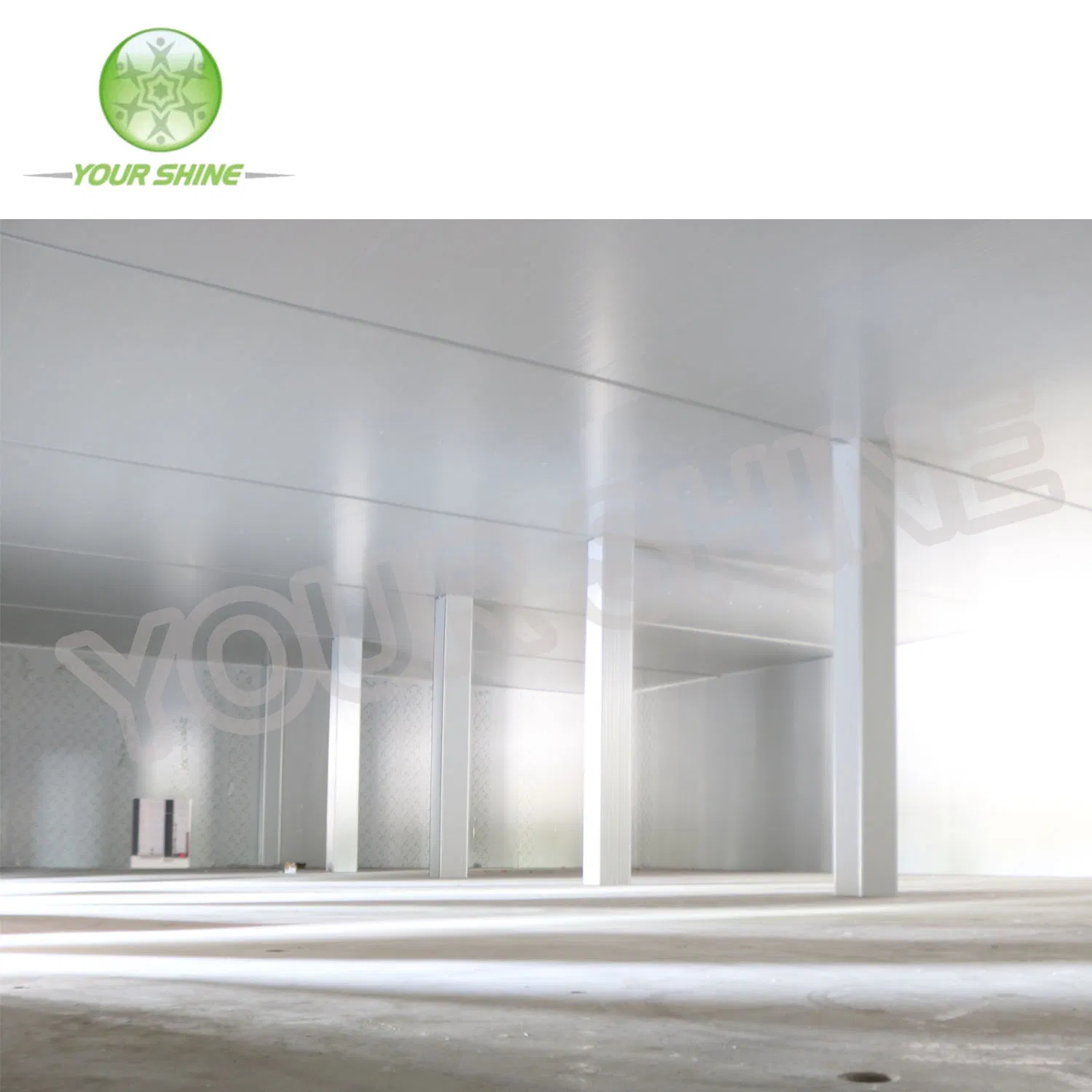 Best Price Cold Storage & Clean Room & Cold Room PU/PUR/PIR Sandwich Panel