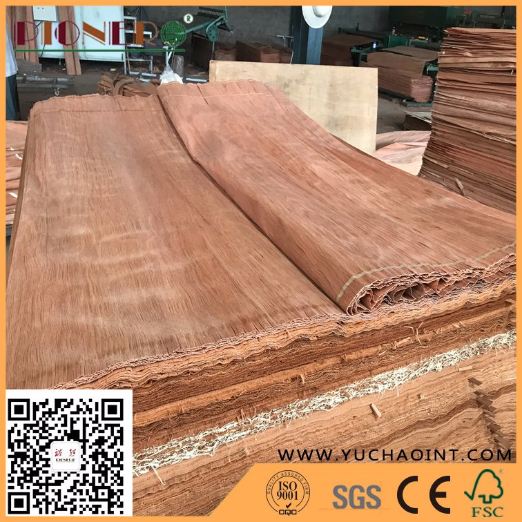 B Grade Natureal PA/Plb Veneer for India Market