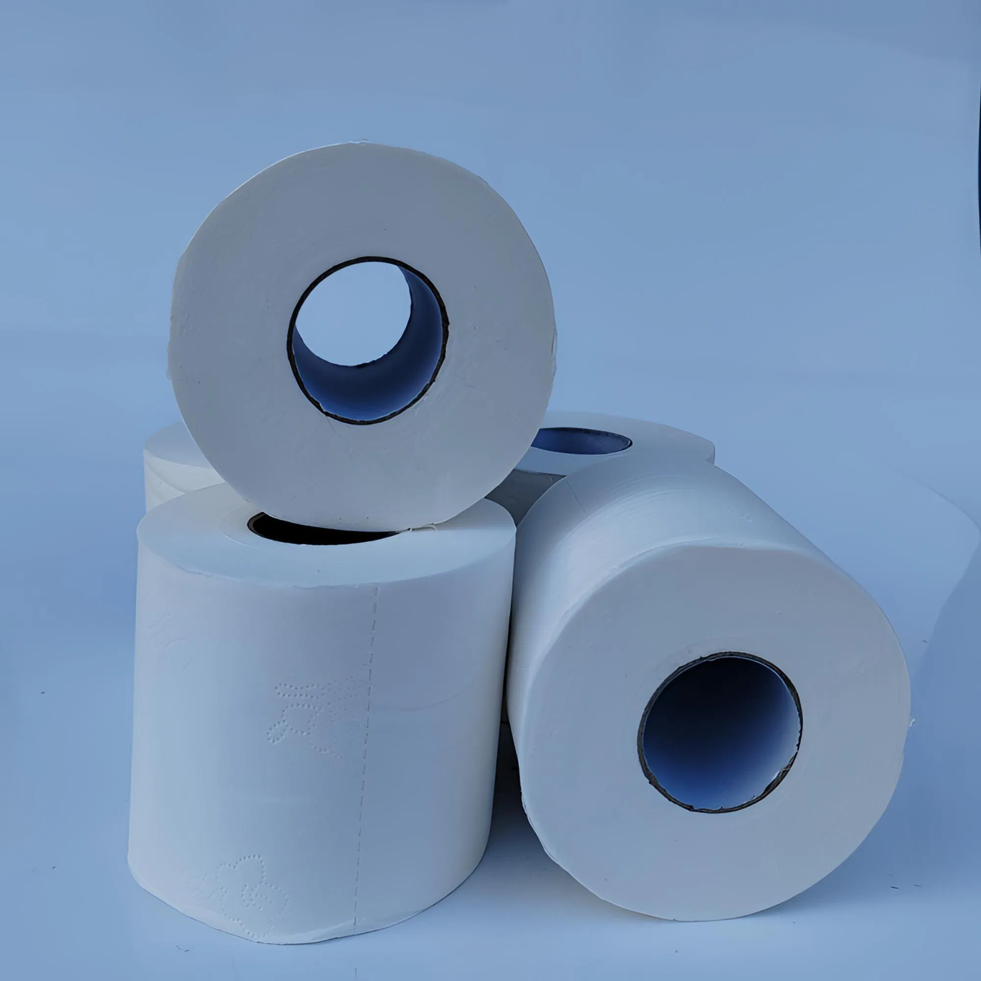 Jumbo Roll Toilet Paper: Luxury Toilet Tissue Paper for Home and Business