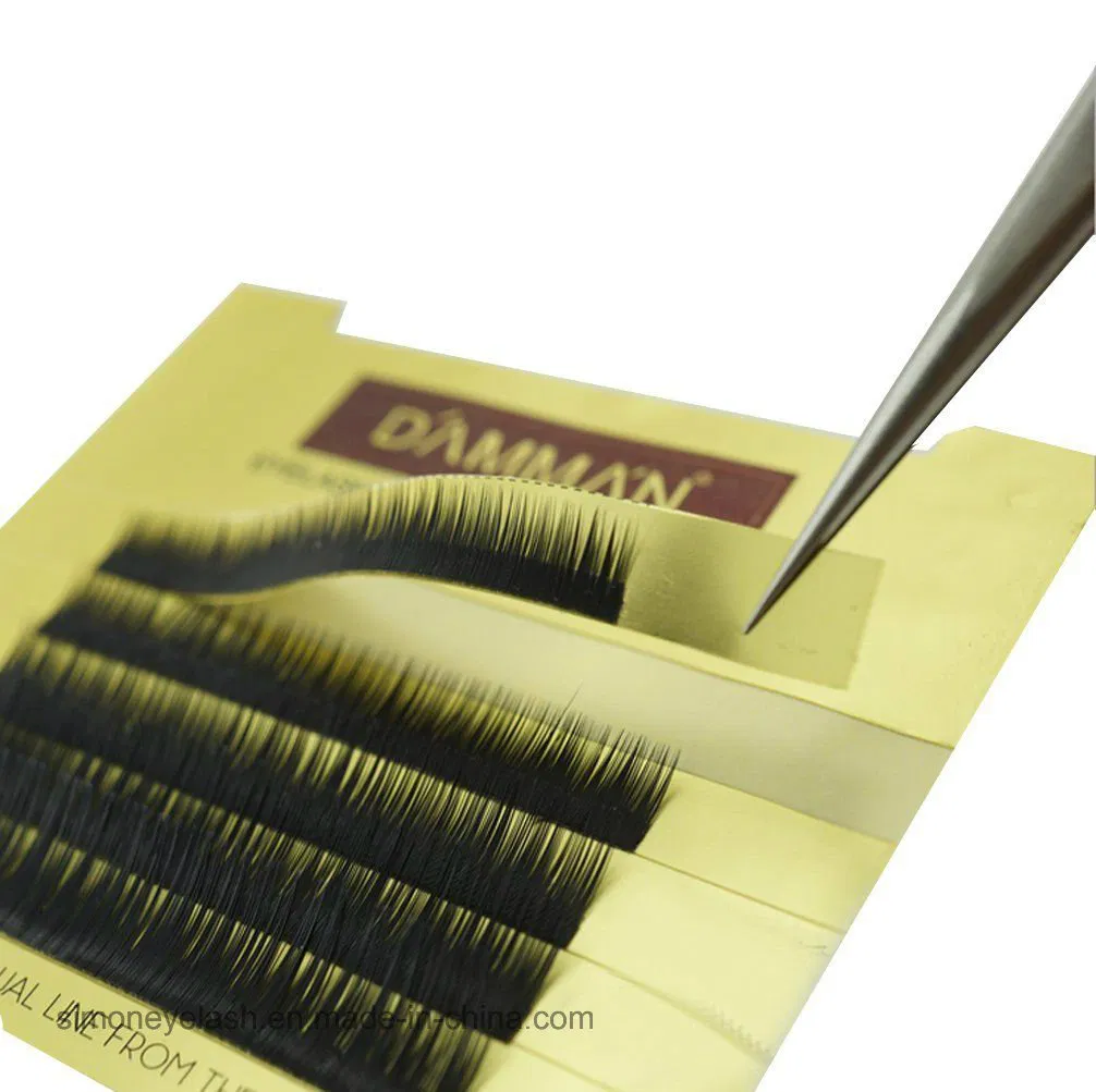 Brown Color Individual Straight Curl Cosmetic Makeup Eyebrow Extension