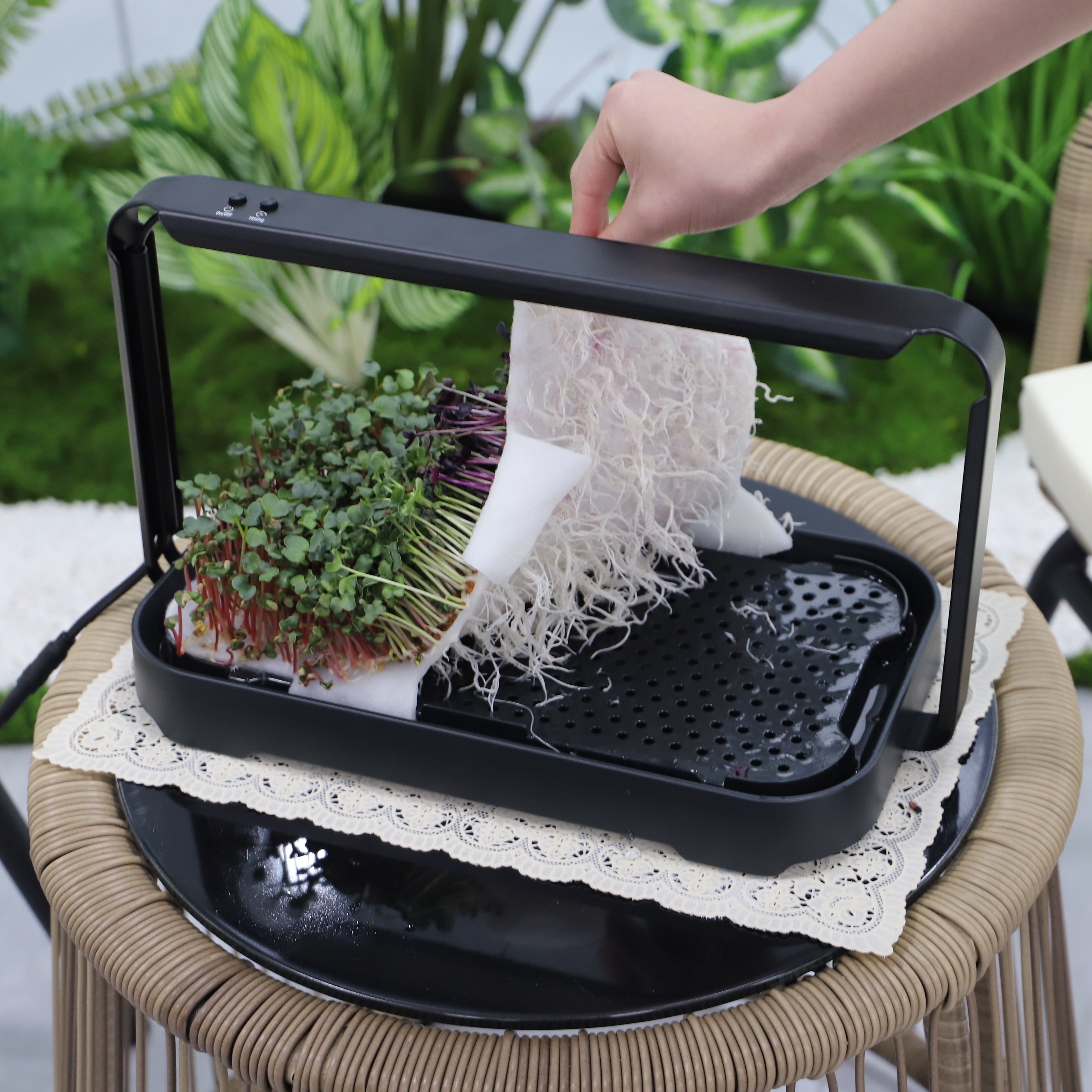 Гидропонная система для растений