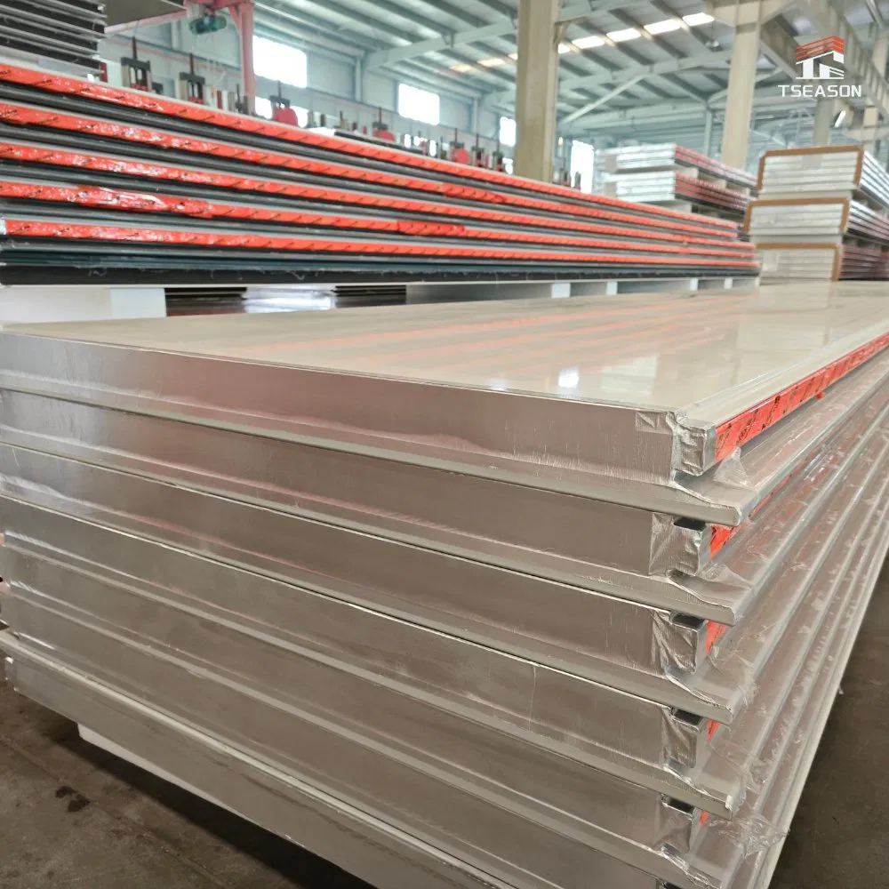 Tseason Insulation Fireproof Rock Wool Sandwich Panel Thermal Insulation Wall ceiling Board for Drying Room