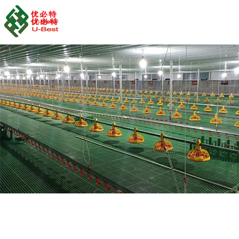 Poultry Chicken Farm Equipment with Automatic Feeding System
