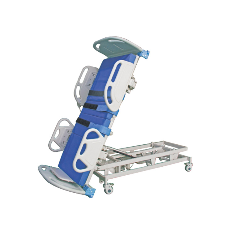 Electric Multifunctional Integrated Standing Bed