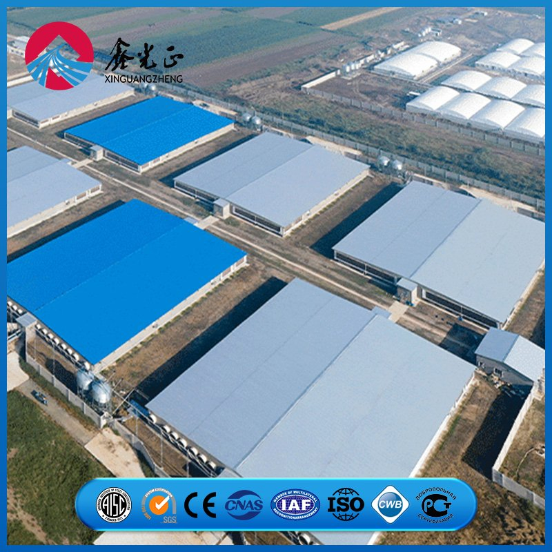 Maldives 4400 M2 Three-Story Pre/Prefabricated/Prefab Engineered Steel Structure Warehouse