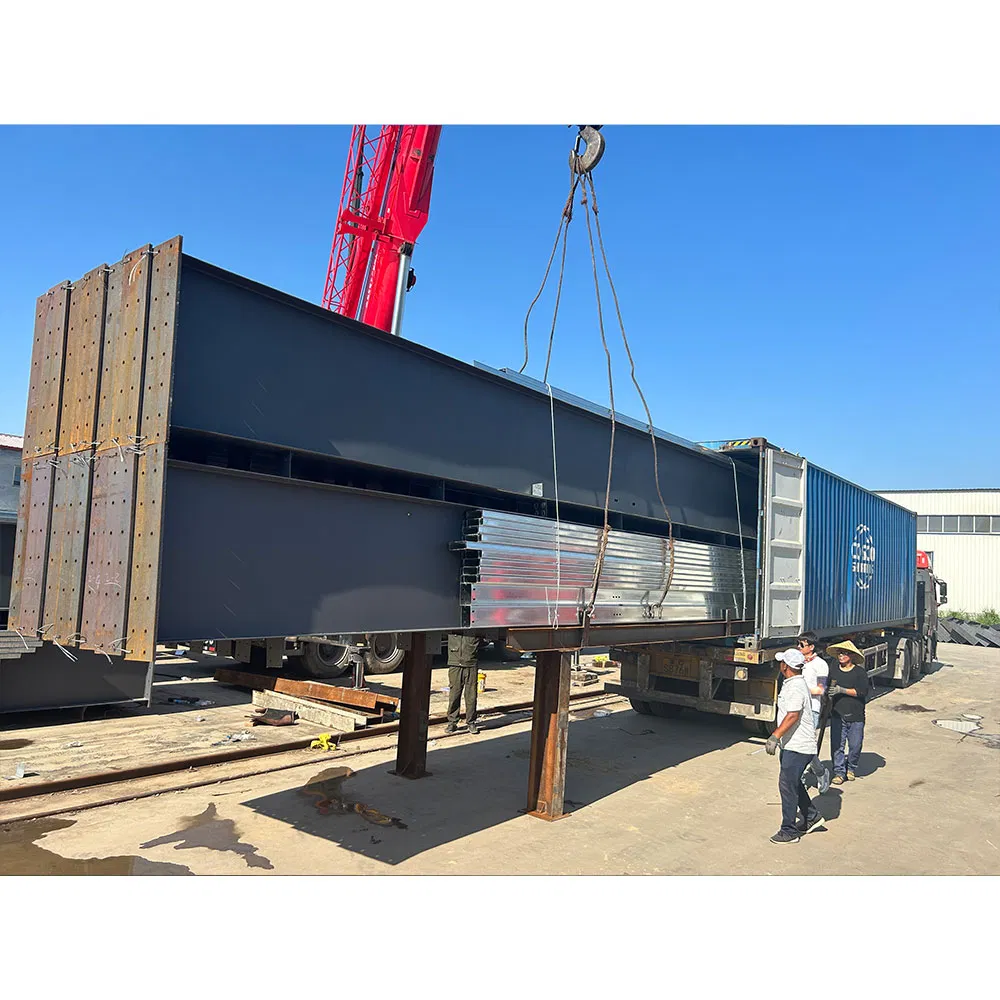 Hot Sell Insulation Prefab Steel Structure Build Prefab Metal Modular Poultry Shed House