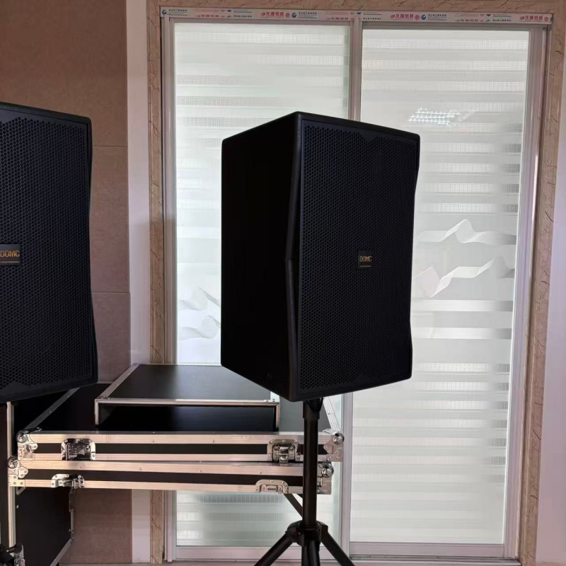 Domc K215 15-Inch Speaker with 99dB Sensitivity for Exceptional Sound Delivery