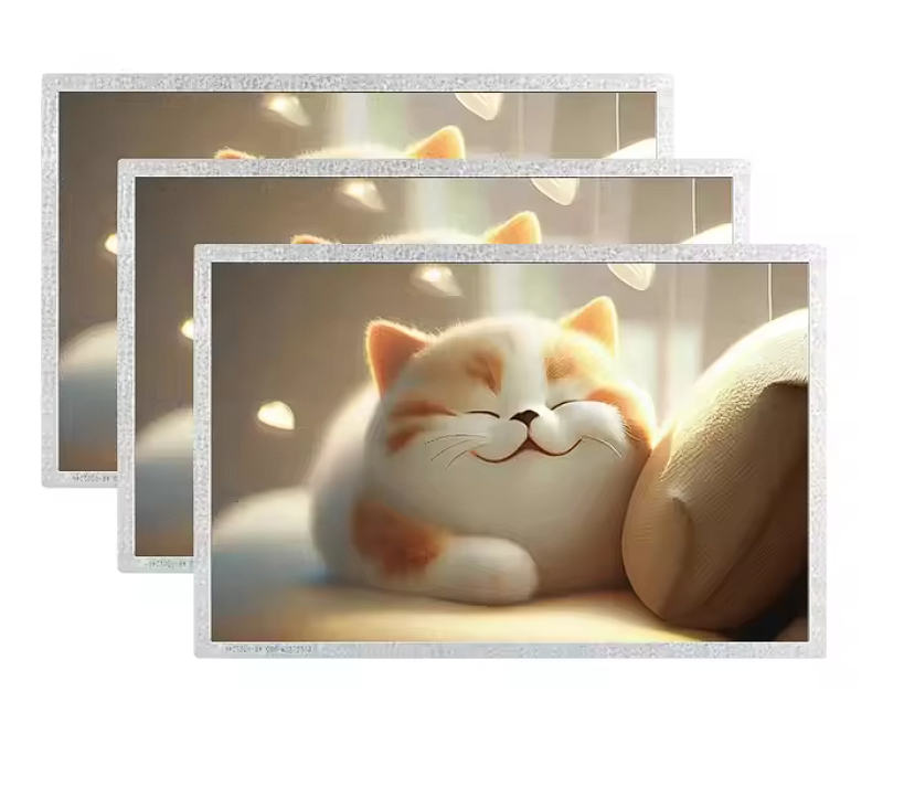 Customizable 10 1-Inch IPS Screen Module with Touch Functionality for Industrial Use