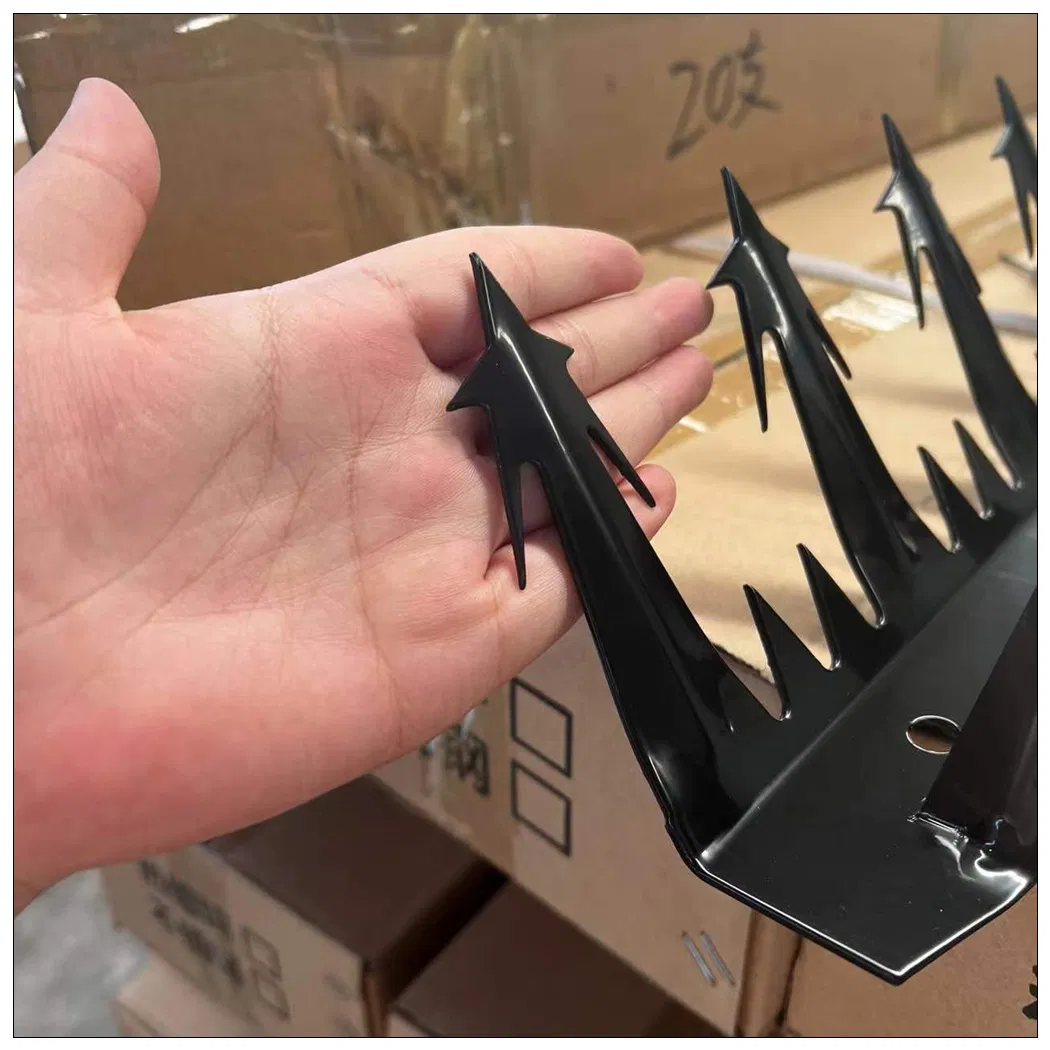 Hot Dipped Galvanized PVC Coating Wall Spikes