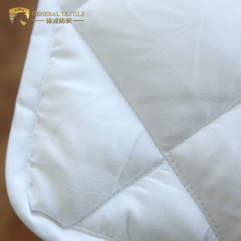Hotel Down Proof Fabric White Hotel Mattress Protector (JRD877)