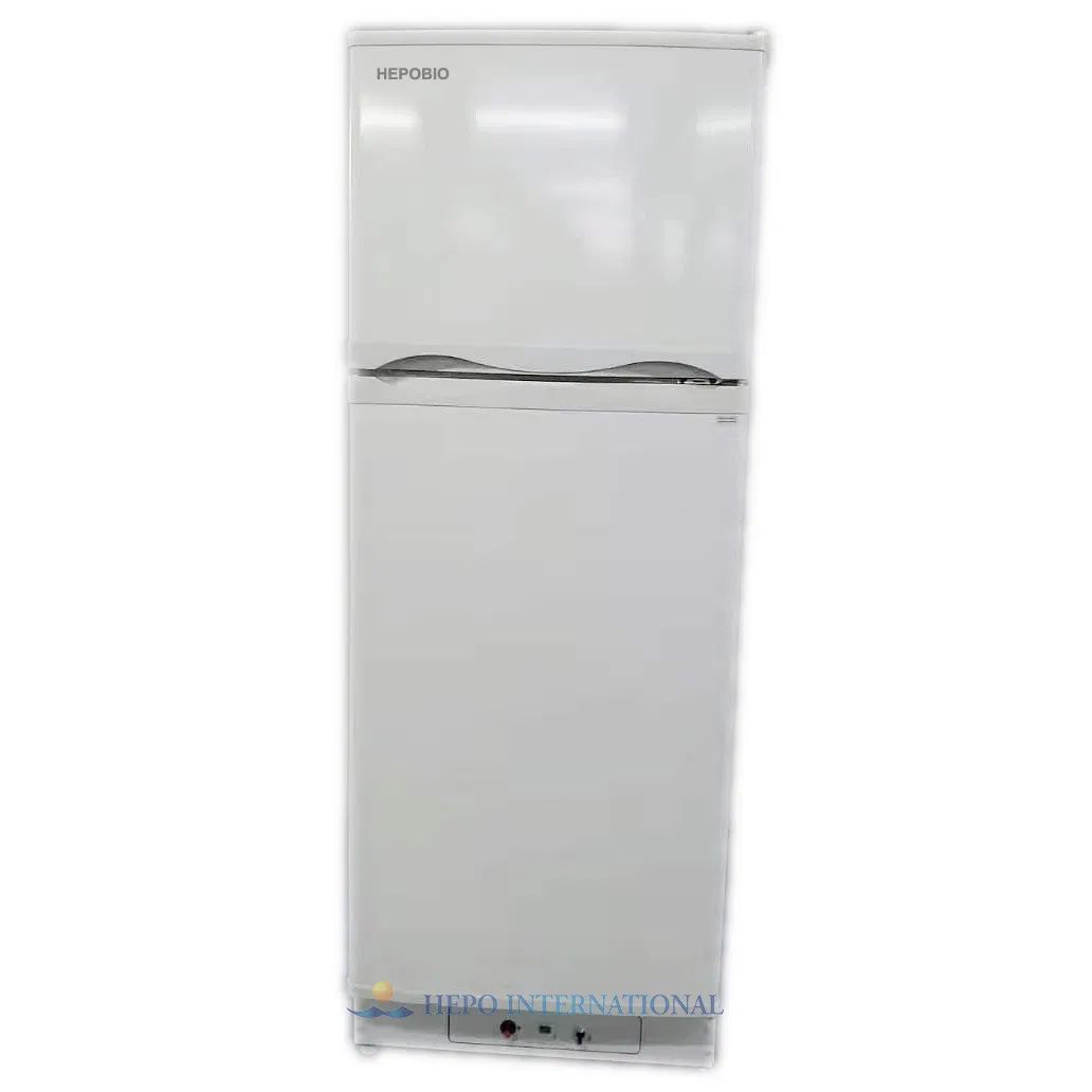 French Popular Mixture Butane LPG Gas Electricity Kerosene Refrigerator Fridge