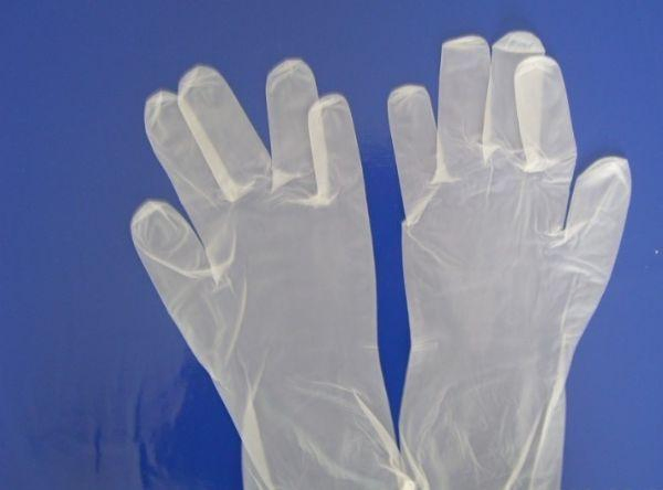 Disposable PVC Glove for Daily Usage, Vinyl Gloves for Daily Usage