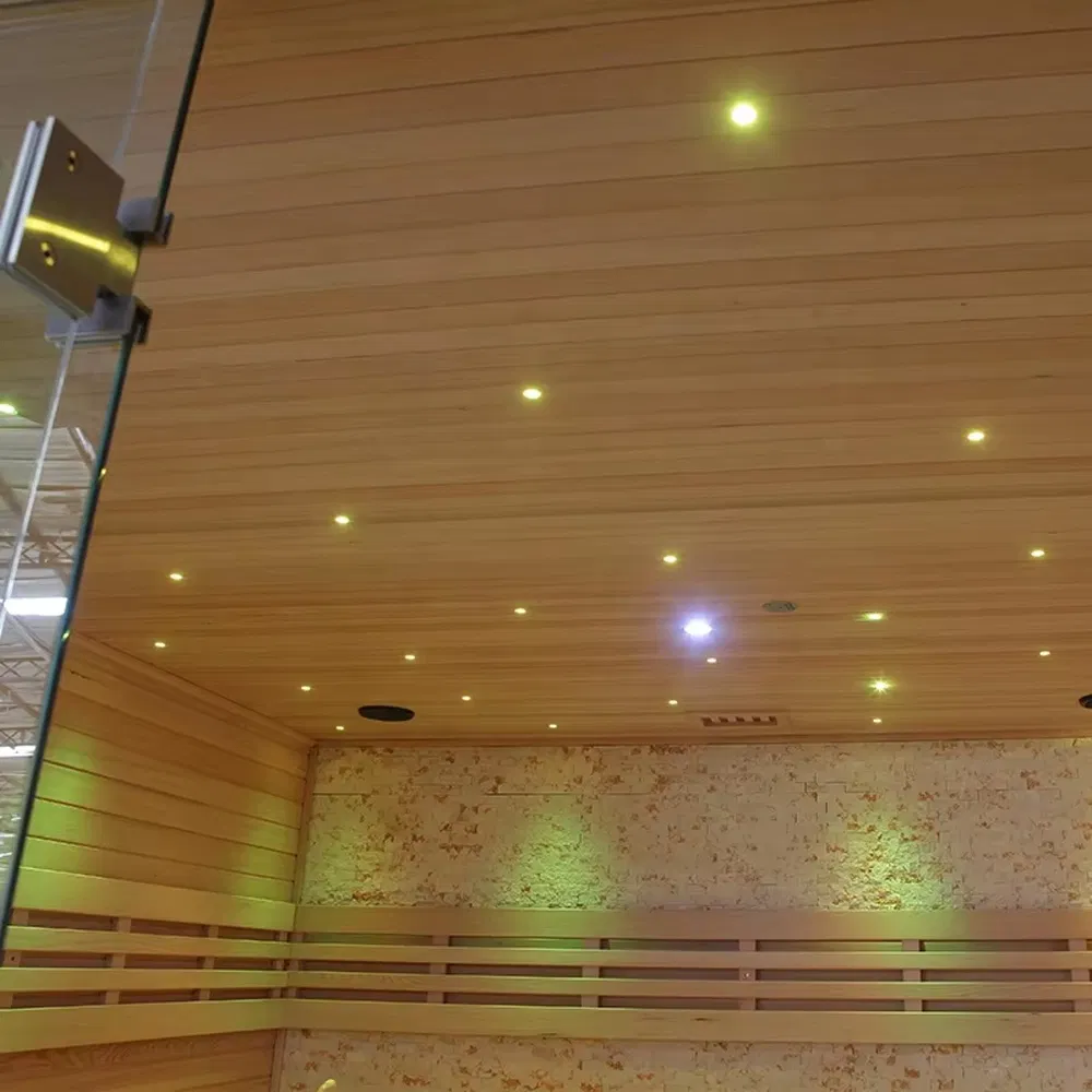 Portable Indoor 4-6 Person Sauna Room Sauna House for Losing Weight