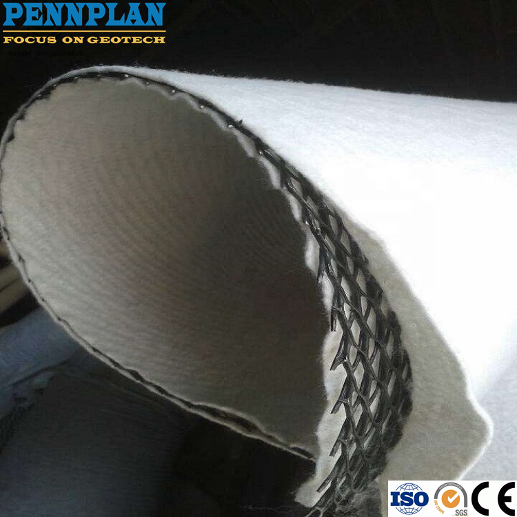 PE Mesh Geonet 3.4-8mm Thickness Composite Drainage Net