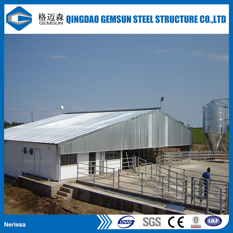 Light Steel Structure Prefaricated Construction Design Steel Structure Warehouse
