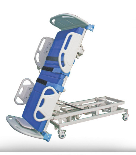 Electric Multifunctional Integrated Standing Bed