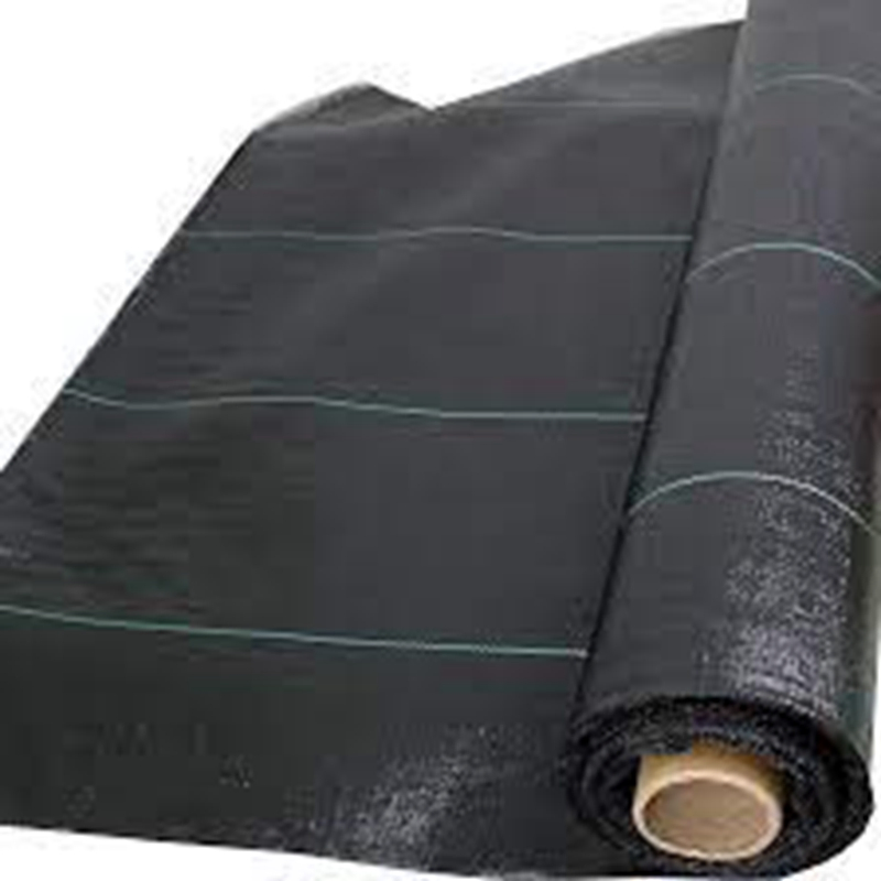 Heavy-Duty PE Geotextile Weed Control Mat for Gardens