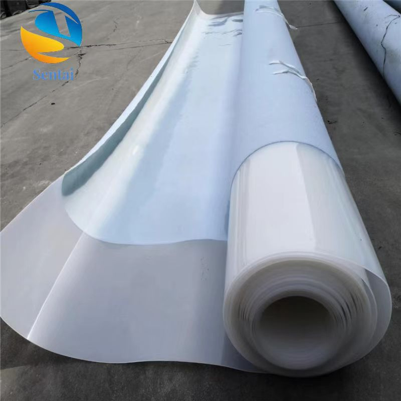 EVA Tunnel Waterproof Board Ecb White Geomembrane HDPE Anti-Seepage Membrane Liner PVC Geomembrane