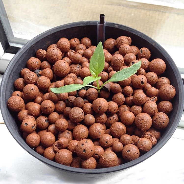 Expanded Clay Aggregate Leca Clay Balls for Aquaponic System