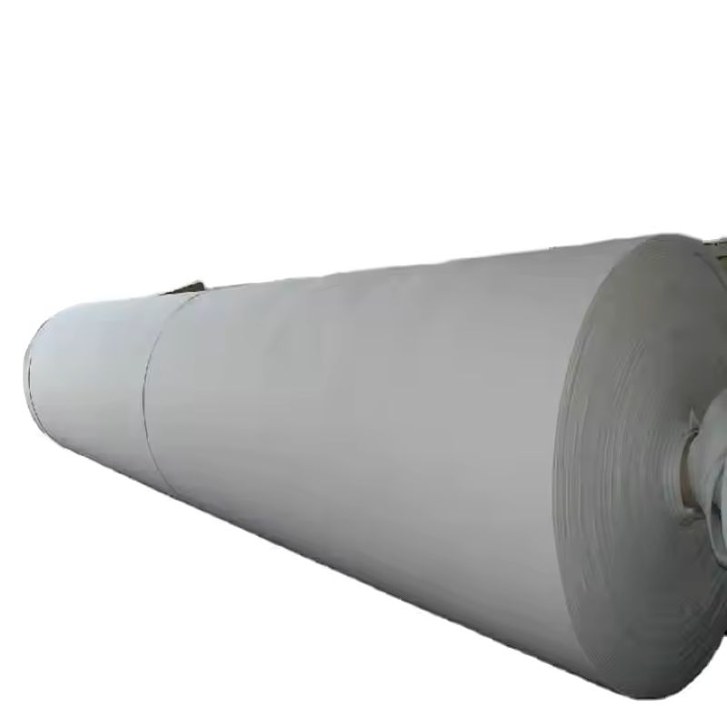 High-Strength Geotextile Precio De Tela Geotextile