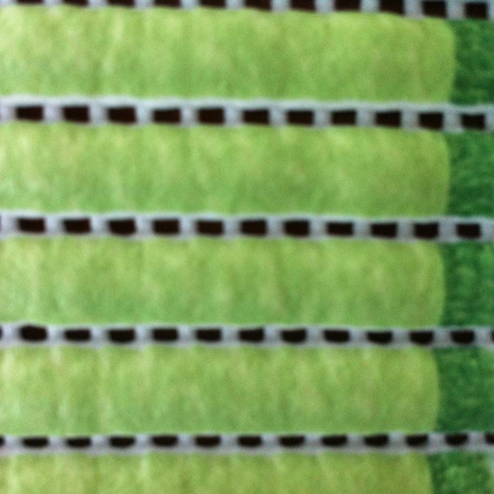 PVC Foam Printed Mat in Roll Modern Style Decoration Floor Mat