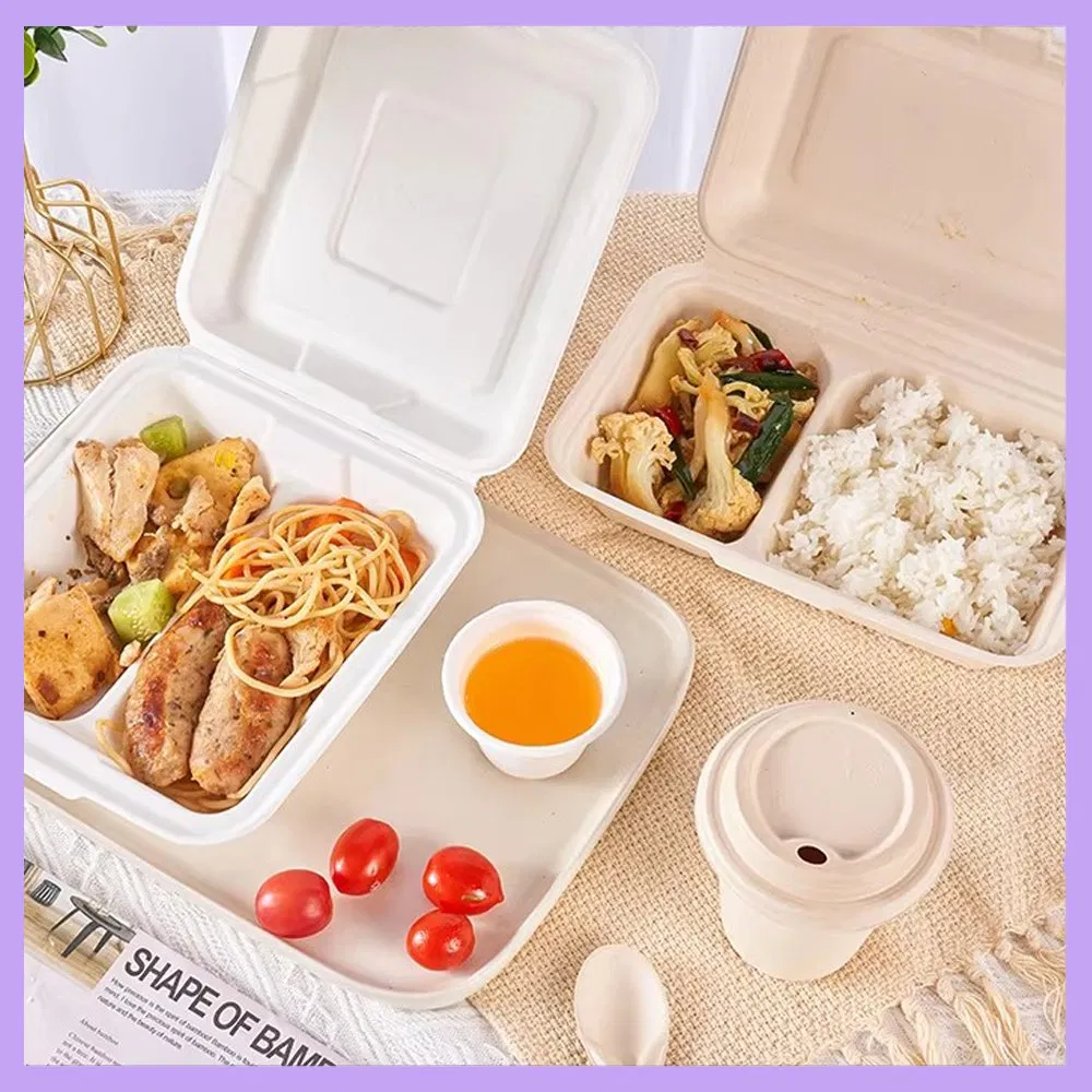 100% Compostable Takeaway Lunch Box Sugarcane Bagasse 3-Compartment Pulp Clamshell