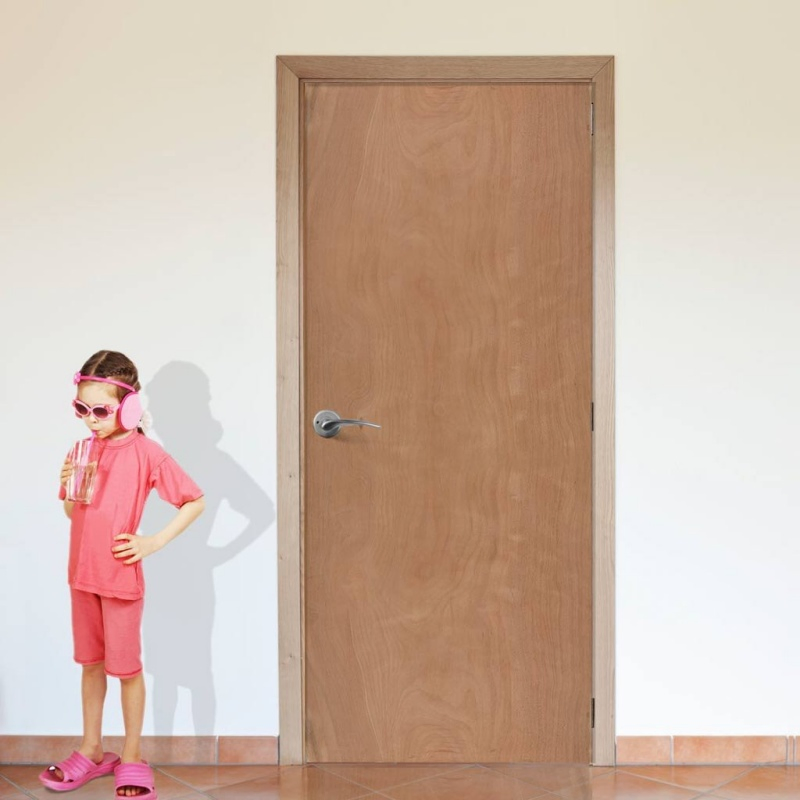 Modern Design Styles Sapele Veneer Plywood Flush Interior Door for Door