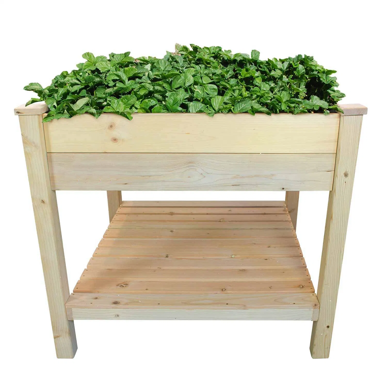 High-Quality Timber Garden Bed Kit Work Bench Outdoors Natural