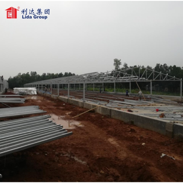 Steel Structure Poultry Farming /Poultry Farm House for Malaysia Market