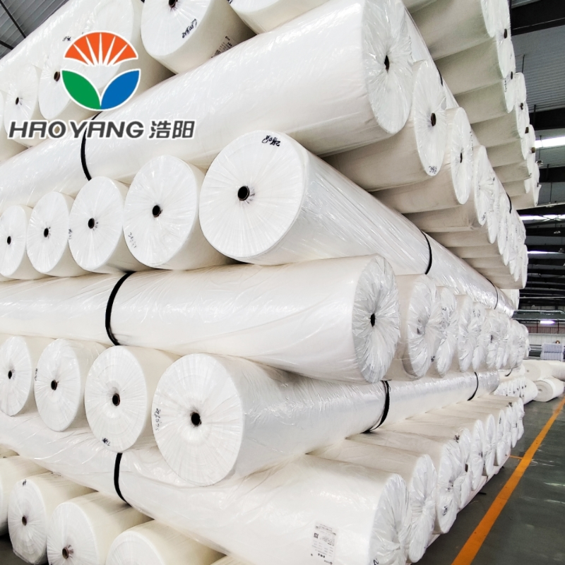 Long-Lasting PP/Pet Nonwoven Geotextile Solution for Drainage and Containment